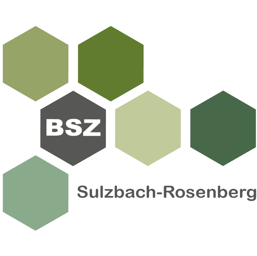 Berufliches Schulzentrum Sulzbach-Rosenberg logo