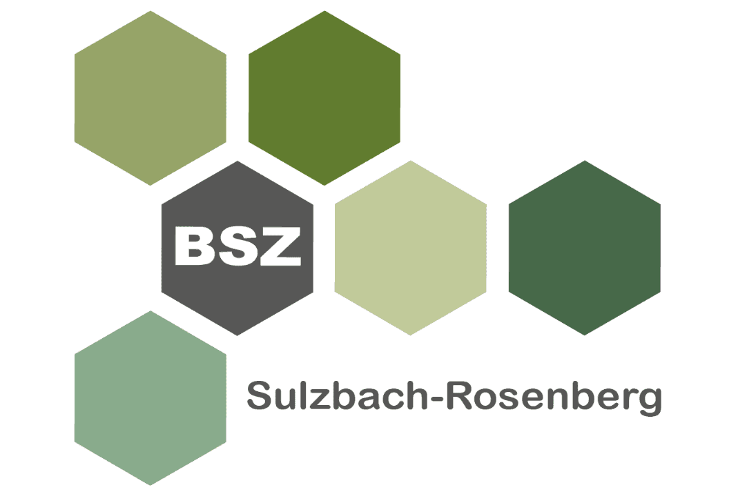 Berufliches Schulzentrum Sulzbach-Rosenberg